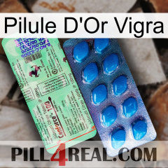 Vigra Gold Pill new02